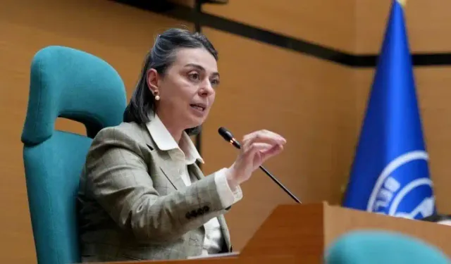 Sinem Dedetaş kimdir, neden gözaltına alındı? YENİ Parti'ye geçecek miydi?