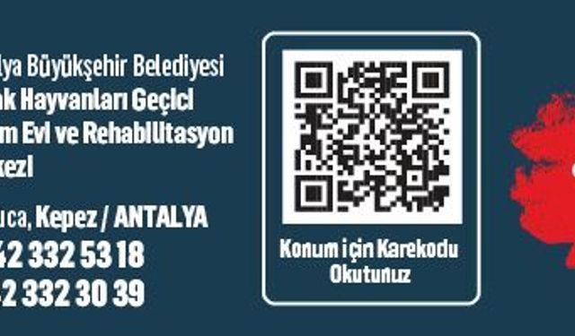 SOKAK HAYVANLARI GEÇİCİ BAKIM EVİ VE REHABBİLİTASYON MERKEZİ DUYURUSU