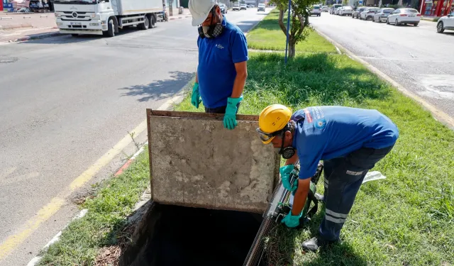 Antalya Büyükşehir'in sivrisinek mücadelesi sürüyor
