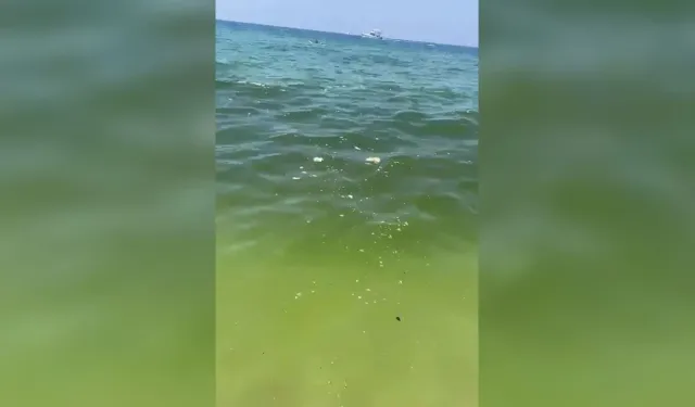 Alanya Damlataş Sahilinde denize dökülen pislik tepki çekti