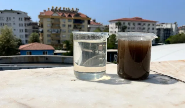 Alanya sahillerindeki kirlilik için ASAT’tan açıklama