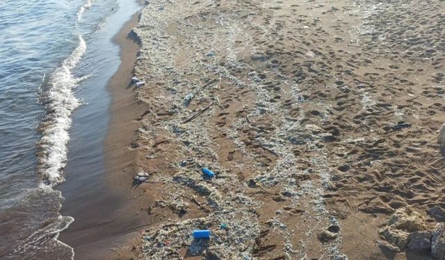 Eski Müsteşardan Konyaaltı Plajı için şok uyarı: "Bu plajda yüzülmez"