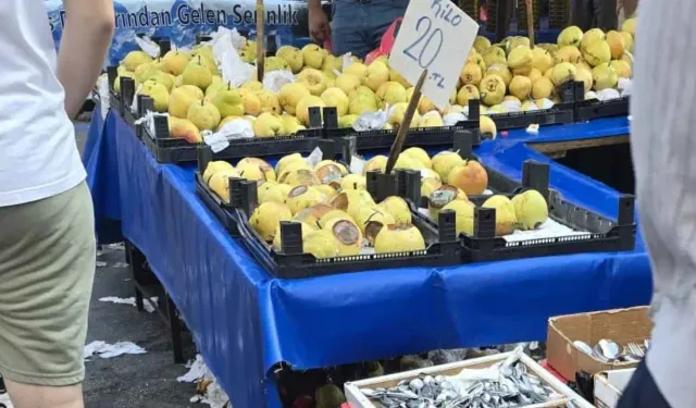 Antalya’da gören bir daha baktı! Pazar tezgahında bunu da sattılar