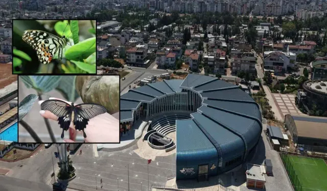 Butterfly World Antalya nerede, nasıl gidilir, içerisinde neler var? 2026 giriş ücreti