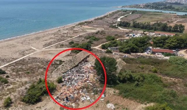 “Kaplumbağa Dostu” otelden caretta carettalara darbe! Sertifikası iptal edildi