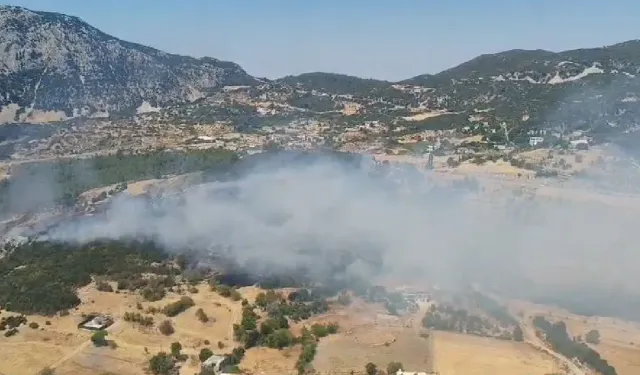 Kaş'ta alevler yükseldi! Havadan müdahale başladı