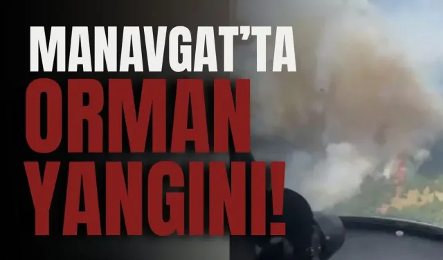 Manavgat’ta orman yangını!
