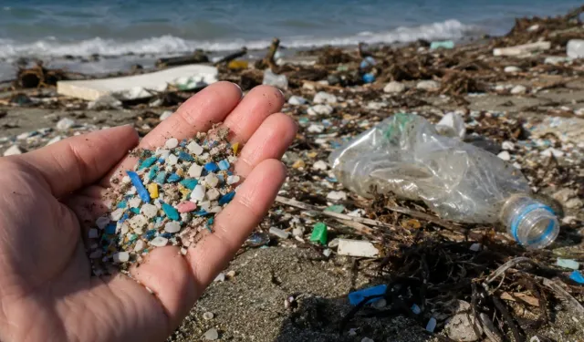 Prof. Dr. Öztürk uyardı: "Plastik atıklar güneşte parçalanarak ekosisteme yayılıyor"