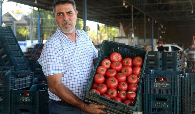 Tarladaki 30 liralık domates markette 100 TL’yi buluyor
