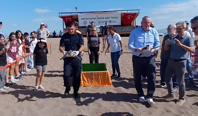 Antalya’da deniz kaplumbağalarının gizemli yolculuğu başladı