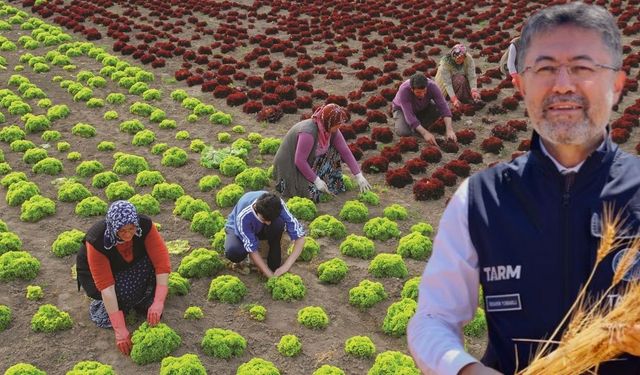 Antalya’da üreticiye nefes aldıracak destek! 30 milyar lira ekleniyor