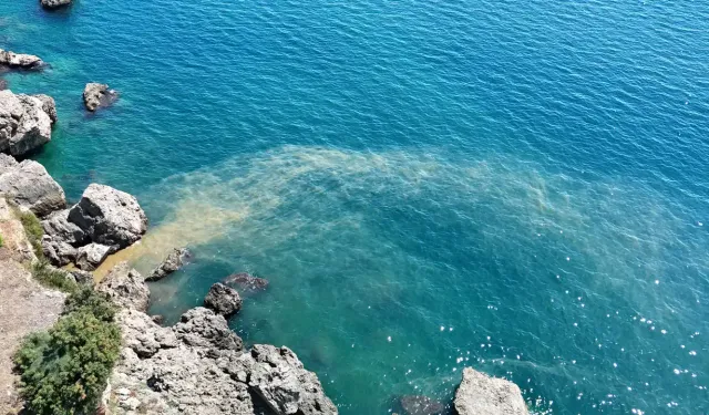 Antalya’da denizdeki sarı bulanıklığın nedeni belli oldu