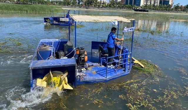 Antalya’da Boğaçay uyarısı: “Konyaaltı Plajı’nı kaybetme noktasına geldik"