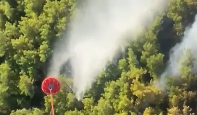 Manavgat'ta yangın!