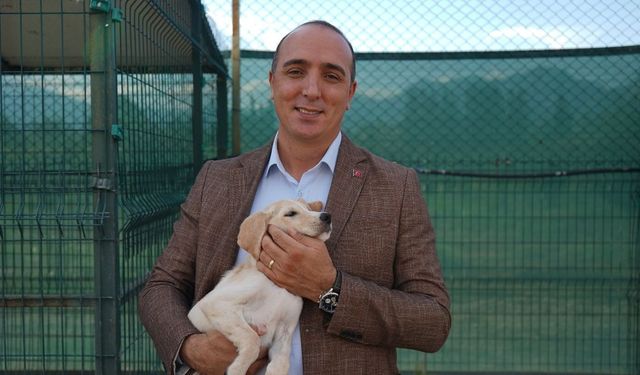 Aksu yangınından kurtuldular, şimdi tek istedikleri sıcak bir yuva