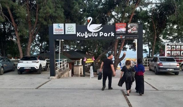 Kuğulu Park bilmecesi