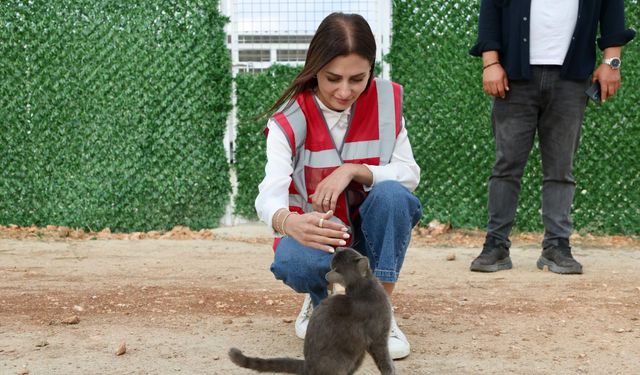 Korkuteli'nde 7 Ekim’de iki tesis hizmete giriyor