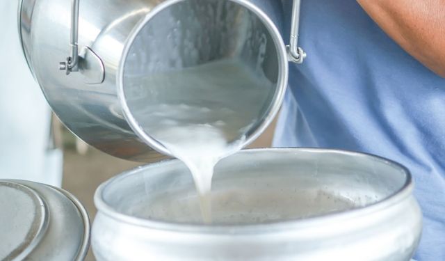 Üreticinin sütten cebi yandı! Antalya'da çiğ süt fiyatları merak konusu oldu