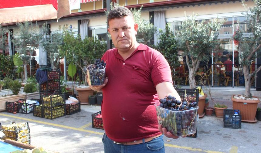 Antalya'nın meşhur Tilki Kuyruğu Üzümü'nün kilogramı 90 lira