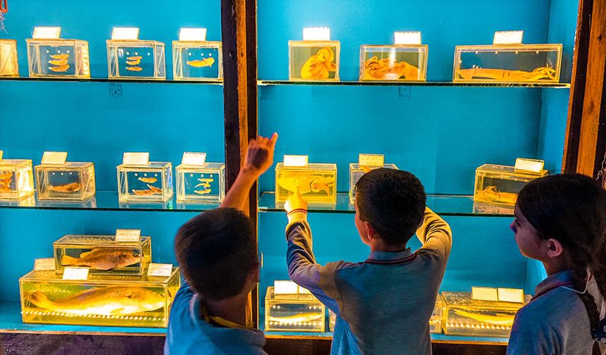 Antalya Büyükşehir'in tahliye kararı iptal! Deniz Biyolojisi Müzesi kurtuldu
