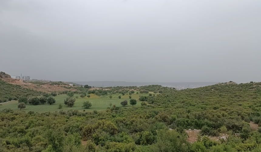 Antalya tarımında "çöl tozu" bereketi