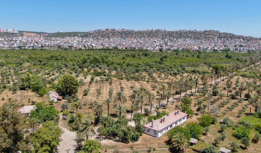 Antalya'nın Ber-Kemal'i Zeytinpark, eşsiz güzellikleriyle ziyaretçilerini bekliyor