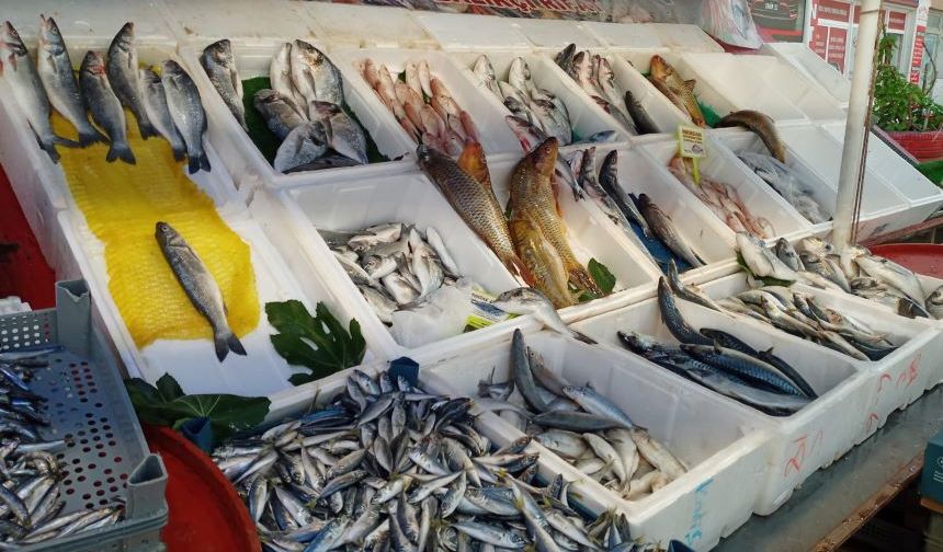 Antalya’da balık satışı düştü! Güncel balık fiyatları…