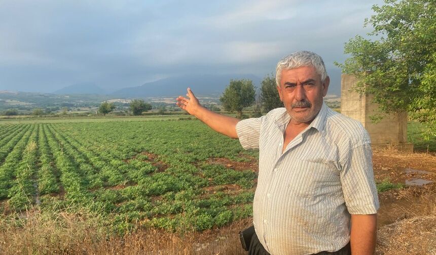 Türkiye’de binlerce çiftçi onların yolunu gözlüyordu! O kente geldiler…