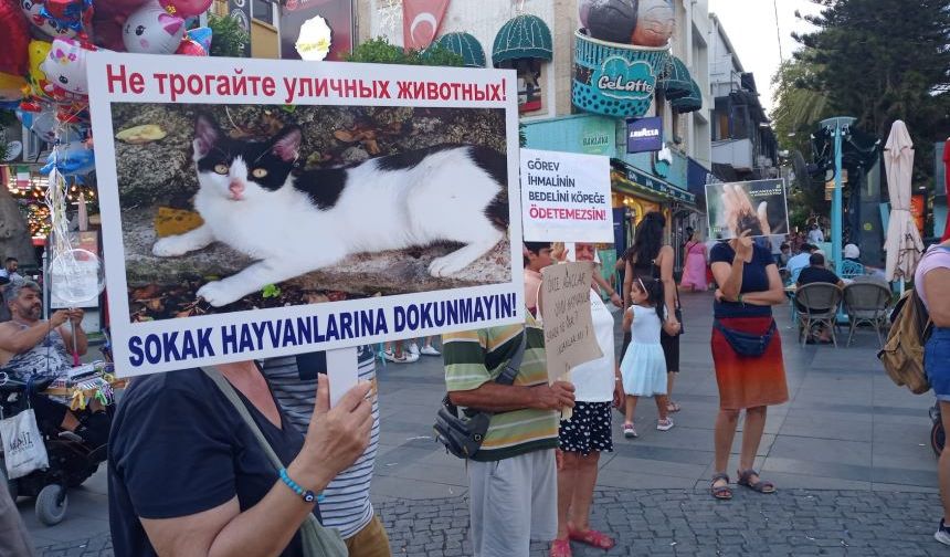 Antalyalı Hayvanseverler: "Toplayamazsın, hapsedemezsin, öldüremezsin"