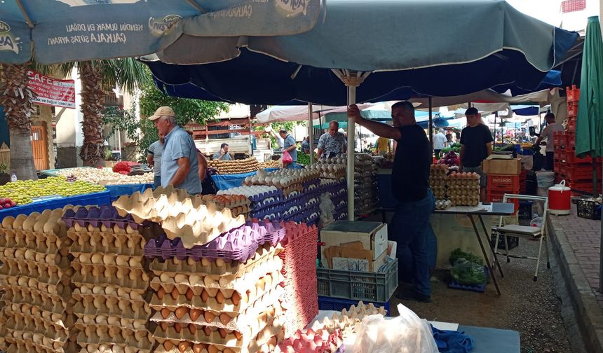 Antalya Muratpaşa Cuma Pazarı’nda güncel sebze ve meyve fiyatları (26 Temmuz Cuma 2024)
