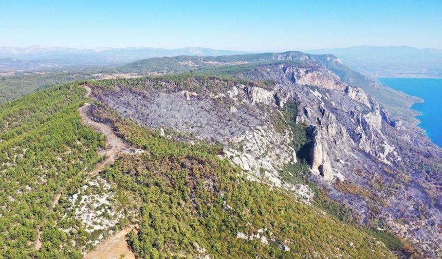 Muğla orman yangınlarında acı bilanço! 849 hektar alan kül oldu