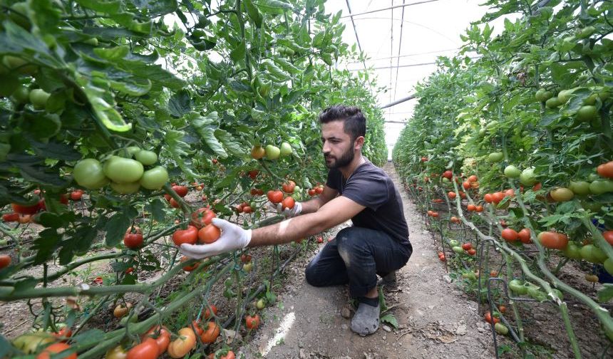 Avrupa, Antalya'daki küçük ve parçalı işletmelere model oluyor