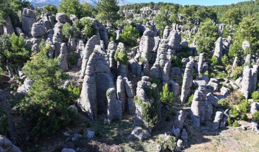 Bilim kurgu filmlerinden çıkmış gibi! Fotoğraf çektirmek için oraya koşuyorlar