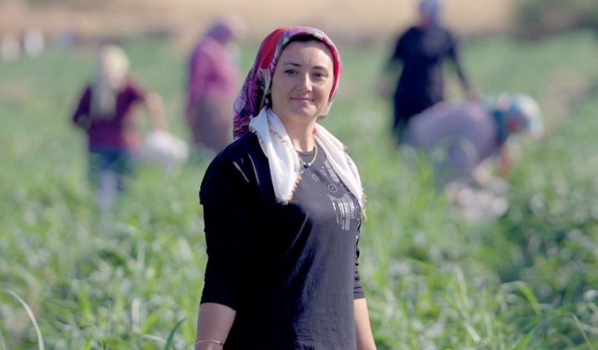 'Su yok güzlük ürün ekimi yapmayın' denilen Adana'da çiftçiler sevinçli