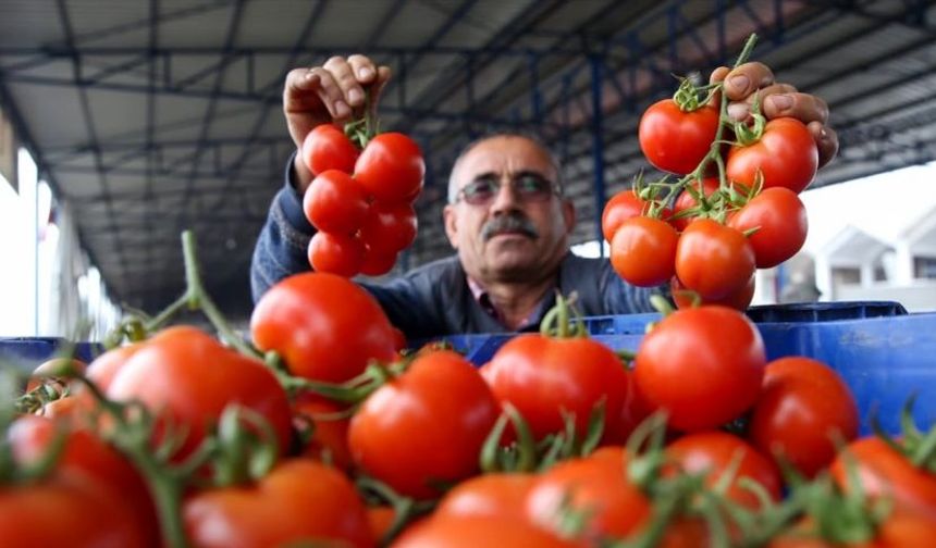 Antalya’da çiftçiyi üzen tüketiciyi sevindiren gelişme!