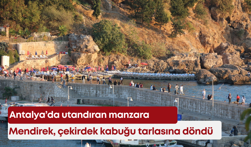 Antalya’da utandıran manzara: Mendirek, çekirdek kabuğu tarlasına döndü