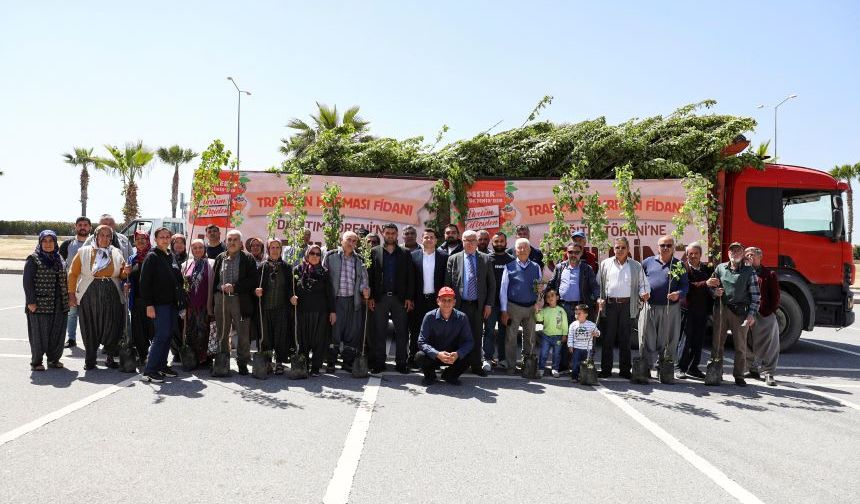 Mersin'de 5 bini aşkın Trabzon hurması fidanı toprakla buluşuyor