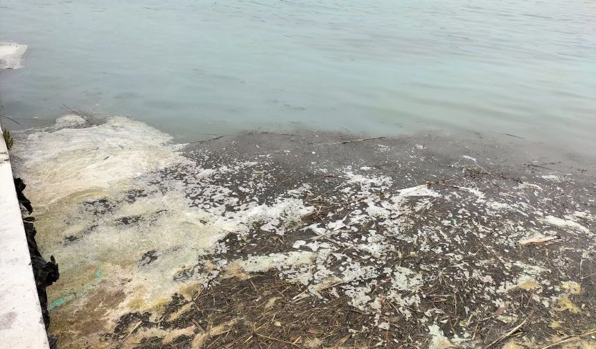 Köyceğiz Gölü'nde müsilaj endişesi: Gölün yüzeyi köpükle kaplandı