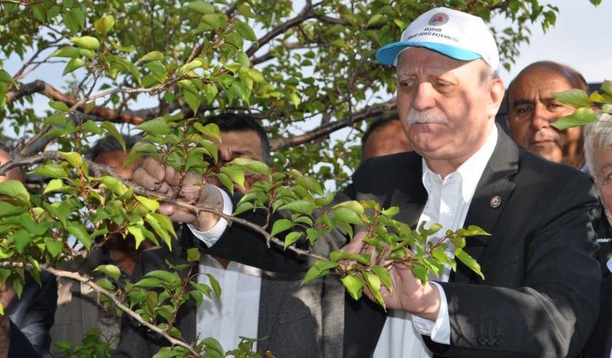 Tarımda tehlike çanları çalıyor: Yaş ortalaması 59'a çıktı, gençler tarımdan uzaklaşıyor