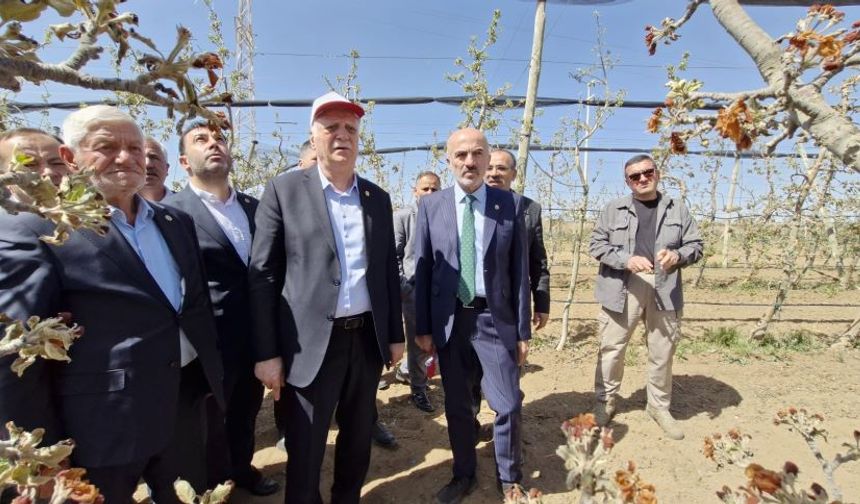Karaman'da elma bahçelerini vuran zirai don, yüzde 85 kayıp yarattı