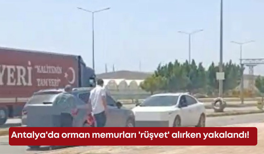 Antalya'da orman memurları 'rüşvet' alırken yakalandı!