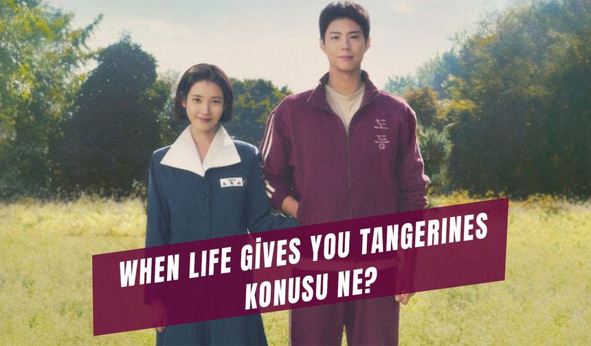 When Life Gives You Tangerines Konusu Ne? Gerçek Hikaye Mi?