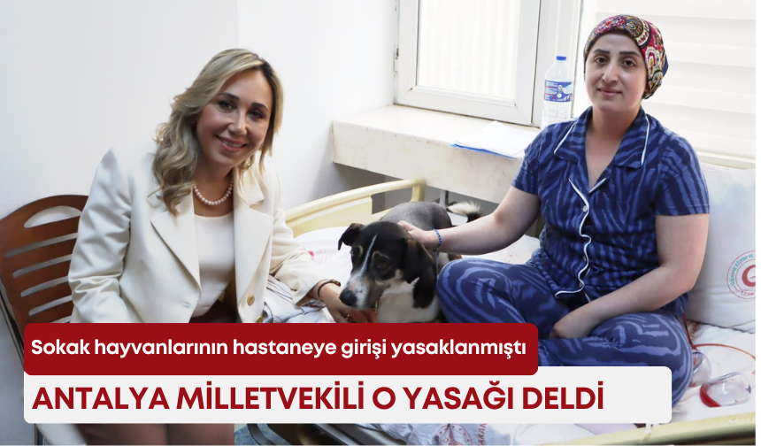 Sokak hayvanlarının hastaneye girişi yasaklanmıştı! Antalya Milletvekili o yasağı deldi!