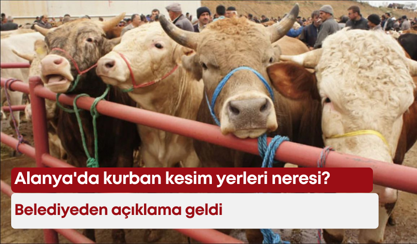 Alanya'da kurban kesim yerleri neresi? Belediyeden açıklama geldi