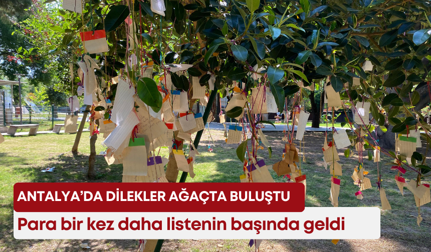 Antalya’da dilekler ağaçta buluştu! Para bir kez daha listenin başında geldi!