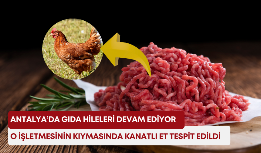 Antalya’da gıda hileleri devam ediyor! O işletmesinin kıymasında kanatlı et tespit edildi