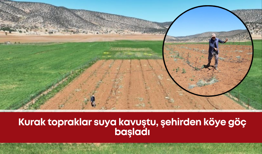 Kurak topraklar suya kavuştu, şehirden köye göç başladı