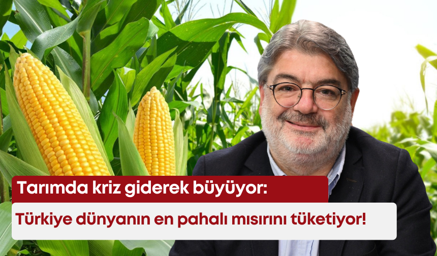 Tarımda kriz giderek büyüyor: Türkiye dünyanın en pahalı mısırını tüketiyor!