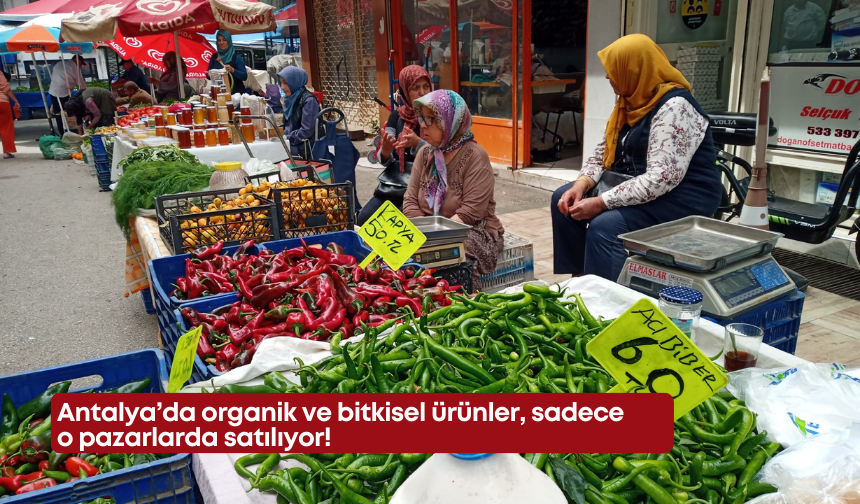 Antalya’da organik ve bitkisel ürünler sadece o pazarlarda satılıyor!