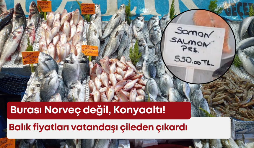 Burası Norveç değil, Konyaaltı! Balık fiyatları vatandaşı çileden çıkardı